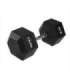 HEX PRO 42.5 KG DUMBBELL HMS