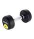 HG PRO 6 KG RUBBER DUMBBELL HMS