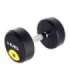 HG PRO 16 KG RUBBER DUMBBELL HMS