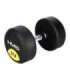 HG PRO 27.5 KG RUBBER DUMBBELL HMS
