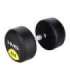 HG PRO 32.5 KG RUBBER DUMBBELL HMS