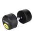 HG PRO 42.5 KG RUBBER DUMBBELL HMS