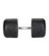 HG PRO 50 KG RUBBER DUMBBELL HMS