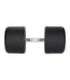HG PRO 55 KG RUBBER DUMBBELL HMS