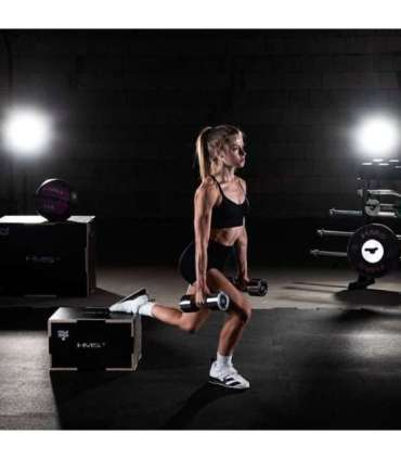 CHD02 CHROMED DUMBBELL (2 pcs.) HMS