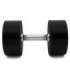 HPC 32.5 KG POLYURETHANE DUMBBELL CPU HMS