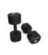 HPT10 2 x 10 KG POLYURETHANE DUMBBELLS TPU HMS