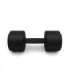 HPT10 2 x 10 KG POLYURETHANE DUMBBELLS TPU HMS