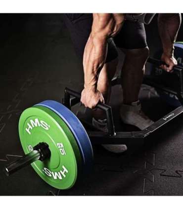 CBR10 OLYMPIC PLATE - BUMPER 10 KG (green)