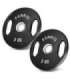TOG05 RUBBERIZING OLYMPIC PLATE 2 x 5 KG HMS