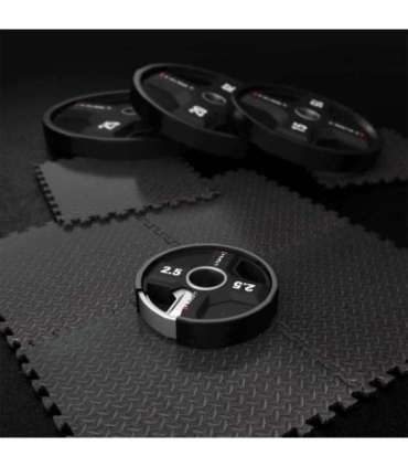 TPC02 OLYMPIC POLYURETHANE PLATE CPU 2.5 KG HMS