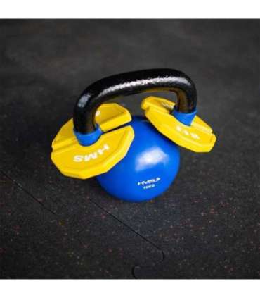 TSN50 PLATE FOR STRENGTH AND FITNESS TRAINING OVERLAY TYPE 2 x 0.5 KG HMS