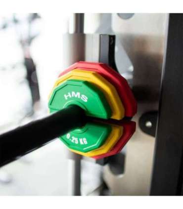 TSN50 PLATE FOR STRENGTH AND FITNESS TRAINING OVERLAY TYPE 2 x 0.5 KG HMS