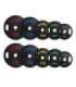 TOG SET RUBBERIZING OLYMPIC PLATES 2 x 5 - 25 KG (150 KG) HMS