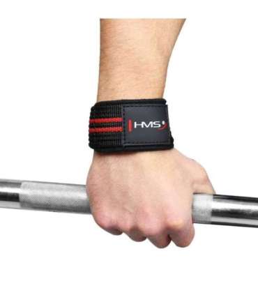 F4432 LIFTING STRAPS HMS