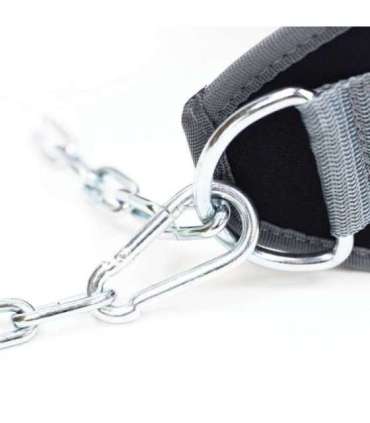 PST04 DIPPING BELT HMS