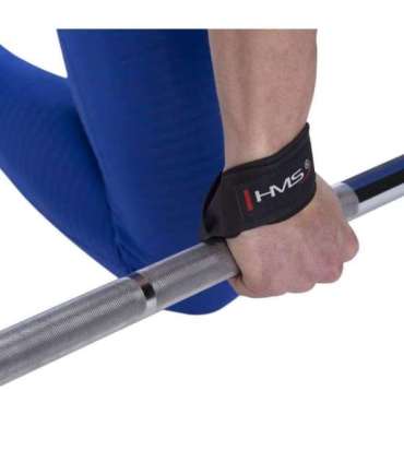 F4433 LIFTING STRAPS HMS