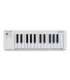 Arturia MicroLab mk3 MIDI keyboard 25 keys USB White