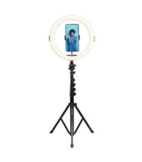 AGFA ARL11XL Ring Light + Tripod