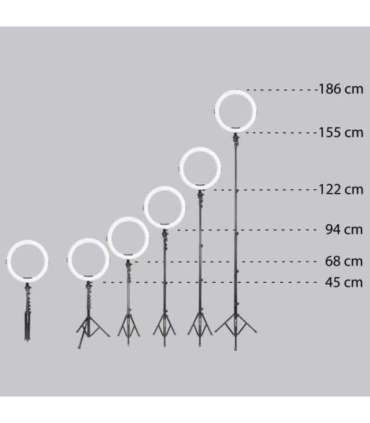 AGFA ARL11XL Ring Light + Tripod