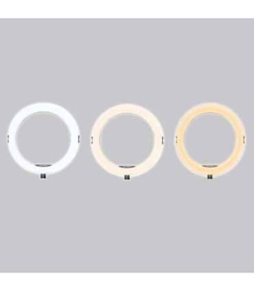 AGFA ARL11XL Ring Light + Tripod