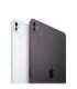 Apple iPad Pro 5G Apple M TD-LTE & FDD-LTE 256 GB 33 cm (13") 8 GB Wi-Fi 6E (802.11ax) iPadOS 17 Black
