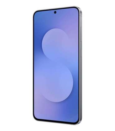 Samsung Galaxy S25 FE 6.7" Dual SIM Android 16.0 5G USB Type-C 8 GB 128 GB 4900 mAh Navy