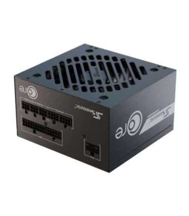 Power Supply|SEASONIC|CORE GX|650 Watts|Efficiency 80 PLUS GOLD|SRP-CGX651-A5A32SF