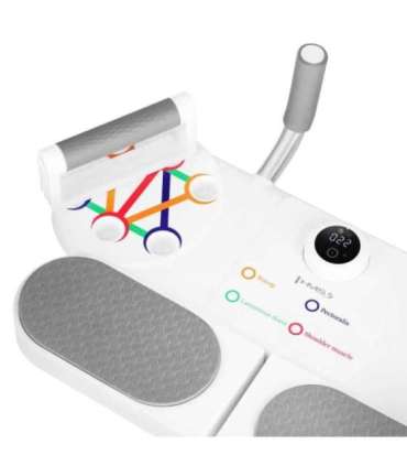 DBP03 MULTIFUNCTIONAL BOARD FOR ABDOMINAL MUSCLE EXERCISES AND PUSH-UPS WITH COUNTER HMS