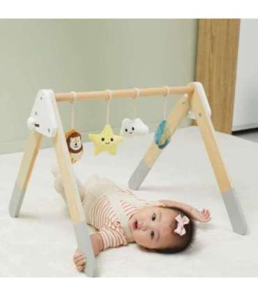 VIGA PolarB beebi mängukaar imikutele