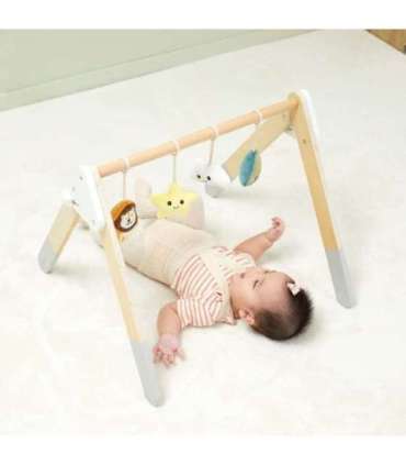 VIGA PolarB beebi mängukaar imikutele