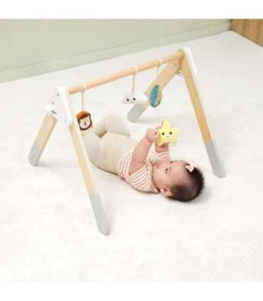 VIGA PolarB beebi mängukaar imikutele