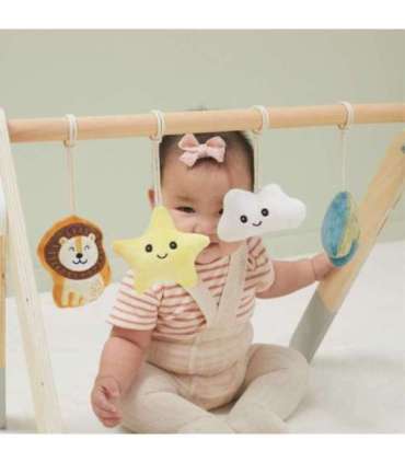 VIGA PolarB beebi mängukaar imikutele