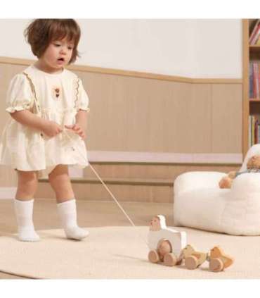 VIGA PolarB puidust kana tibudega lohistamiseks