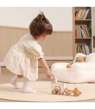 VIGA PolarB puidust kana tibudega lohistamiseks