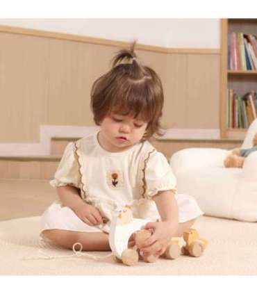 VIGA PolarB puidust kana tibudega lohistamiseks