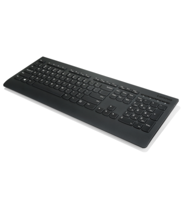 Lenovo Professional Professional Wireless Keyboard and Mouse Combo - US English with Euro symbol Keyboard and