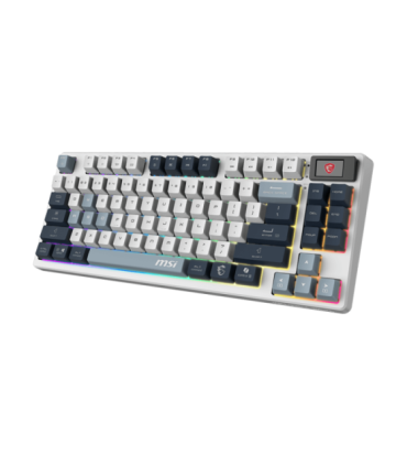 MSI FORGE GK600 TKL WIRELESS SKY Gaming Keyboard Wireless US Bluetooth 2.4 GHz, Bluetooth, USB 2.0 |