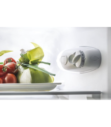 Candy Refrigerator CCG1L314EW Energy efficiency class E Free standing Combi Height 144 cm Fridge net