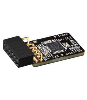 MB ACC TPM MODULE/GC-TPM2.0 SPI V2 1.0 GIGABYTE