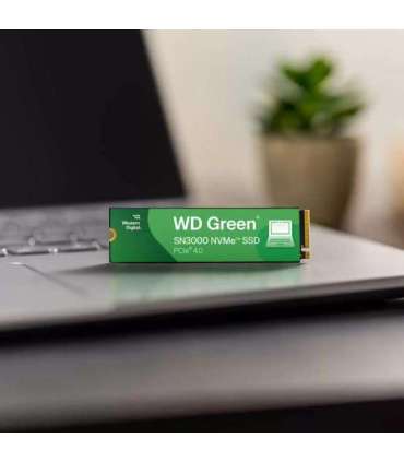 SSD|WESTERN DIGITAL|Green|2TB|M.2|PCIe Gen4|NVMe|Write speed 4200 MBytes/sec|Read speed 5000 MBytes/sec|2.3mm|TBW 250 TB|WDS2