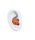 Powerbeats Fit - Wireless Noise-Cancelling Workout Earbuds with Ultimate Secure Fit - Spark Orange Beats