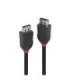 CABLE DISPLAY PORT 0.5M/BLACK 36490 LINDY