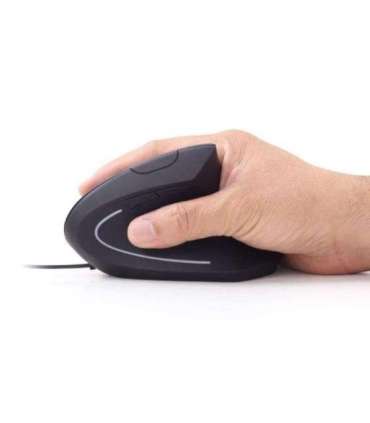 MOUSE USB OPTICAL BLACK/ERGONOMIC MUS-ERGO-01 GEMBIRD