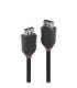 CABLE DISPLAY PORT 2M/BLACK 36492 LINDY