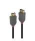 CABLE DISPLAY PORT 2M/ANTHRA 36482 LINDY