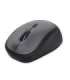 MOUSE USB OPTICAL WRL YVI+/BLACK 24549 TRUST