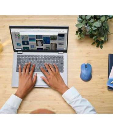 MOUSE USB OPTICAL WRL BLUE/MYDO 25041 TRUST