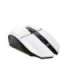 MOUSE USB OPTICAL WRL WHITE/GXT110W FELOX 25069 TRUST