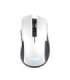 MOUSE USB OPTICAL WRL YBAR/GTX923W 24889 TRUST